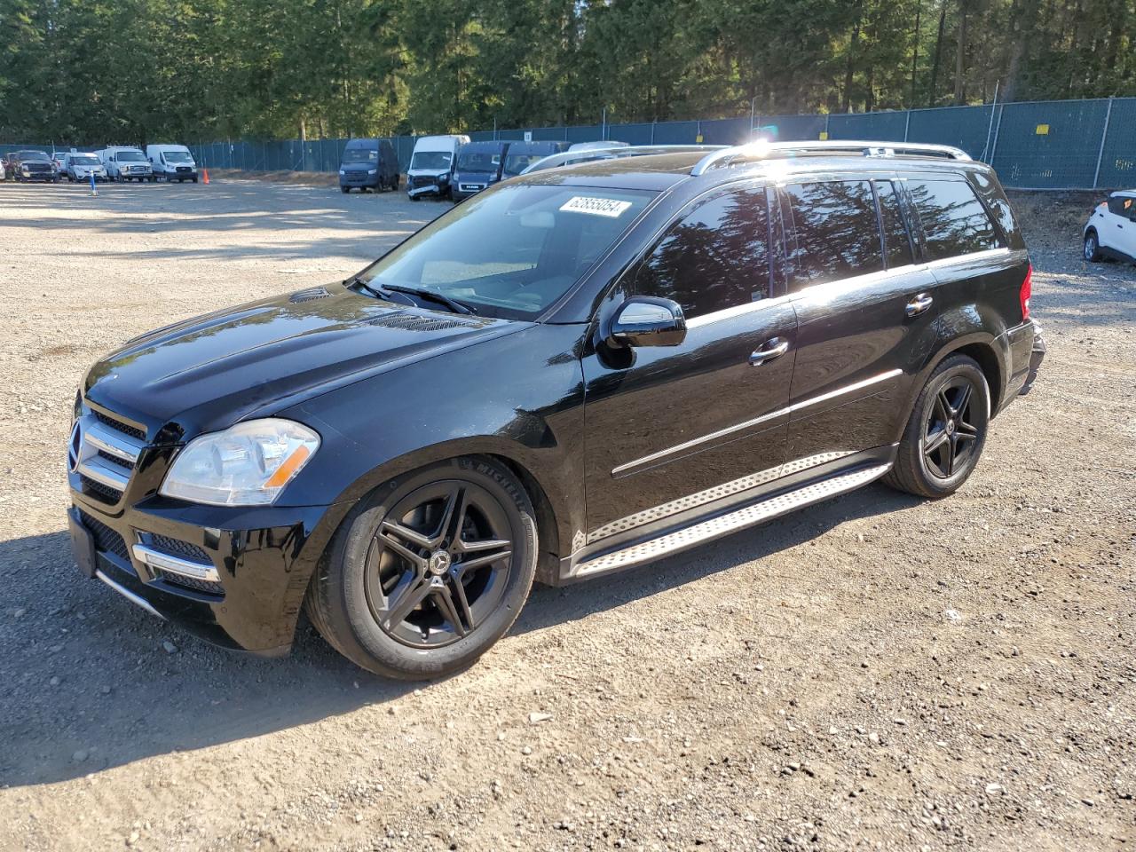 2010 Mercedes-Benz Gl 450 4Matic VIN: 4JGBF7BE4AA613075 Lot: 62855054