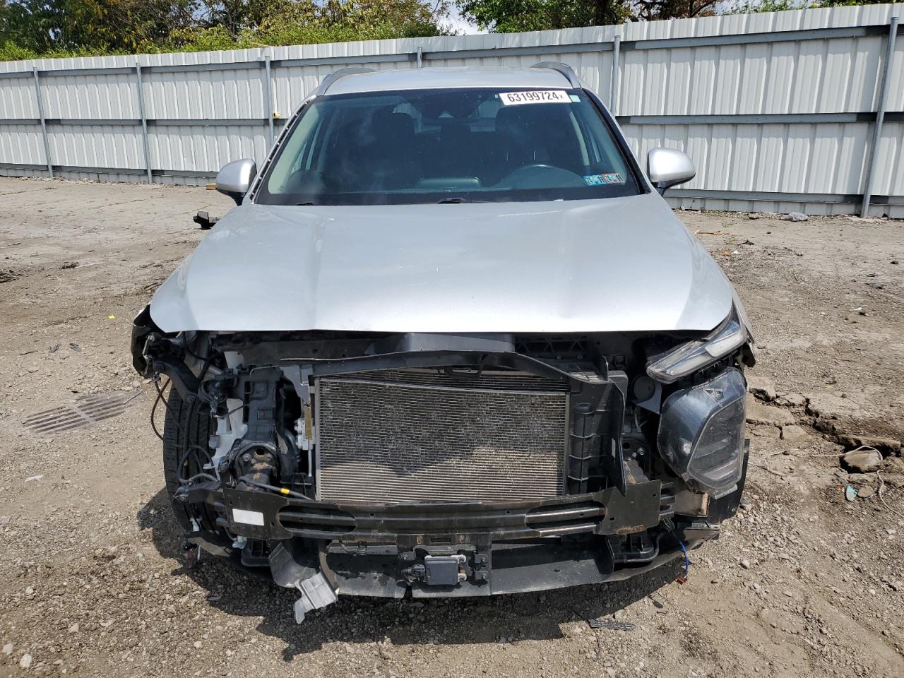 2020 Hyundai Santa Fe Sel VIN: 5NMS3CAD0LH162198 Lot: 63199724