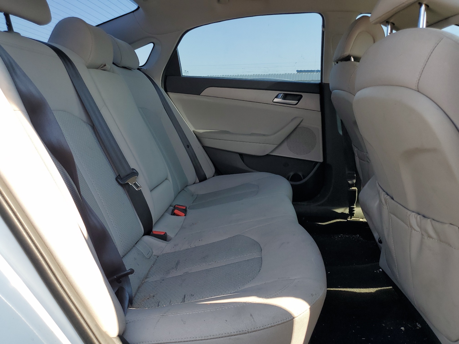 5NPE24AF1GH291146 2016 Hyundai Sonata Se