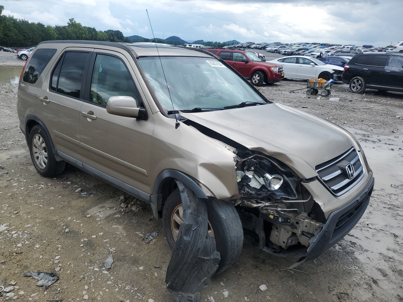 SHSRD78986U439196 2006 Honda Cr-V Se