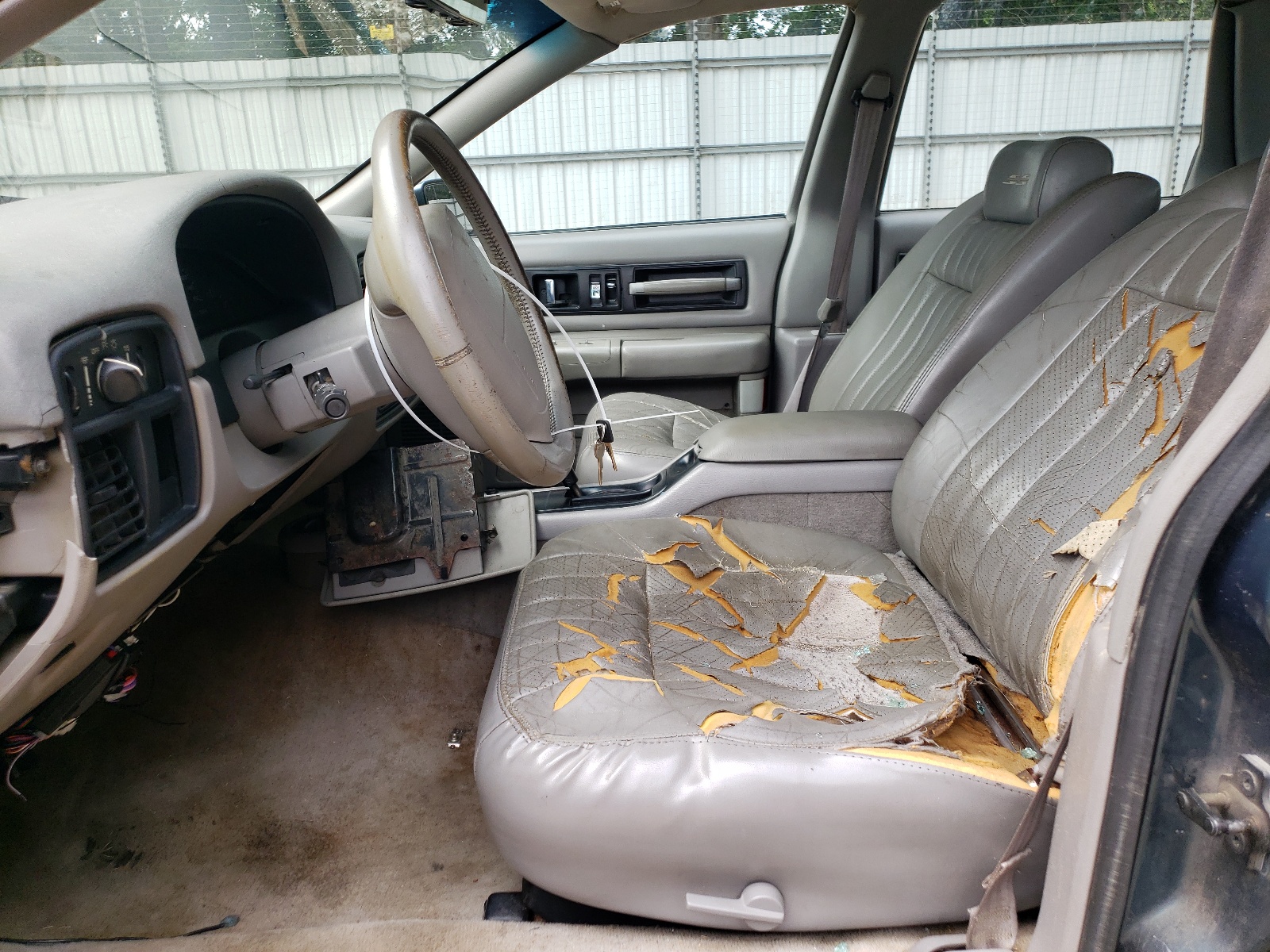 1G1BL52P0TR166051 1996 Chevrolet Caprice / Impala Classic Ss