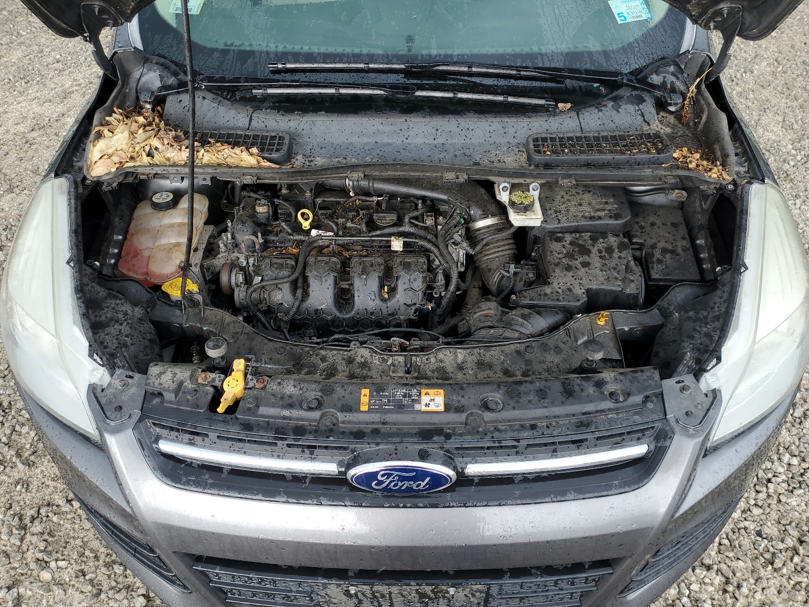 1FMCU9G94DUB67725 2013 Ford Escape Se