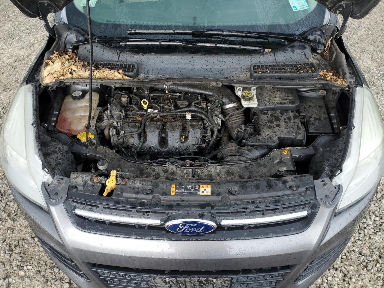 2013 Ford Escape Se VIN: 1FMCU9G94DUB67725 Lot: 65753164