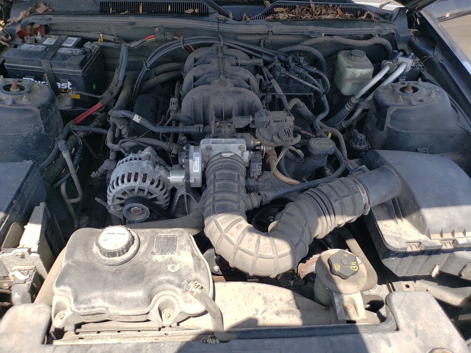 1ZVFT80N775198811 2007 Ford Mustang