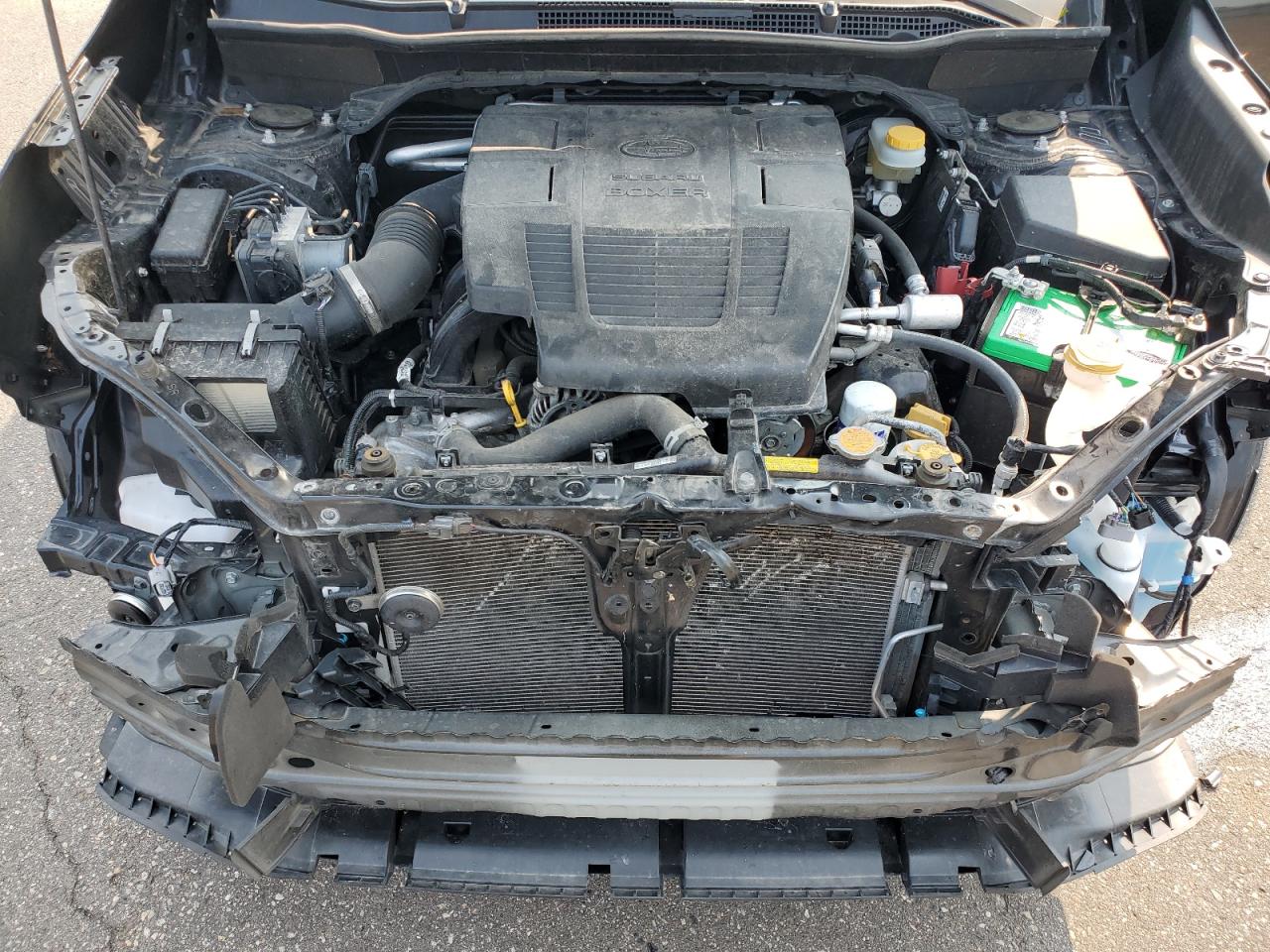 2019 Subaru Forester Limited VIN: JF2SKASC2KH586447 Lot: 63205064