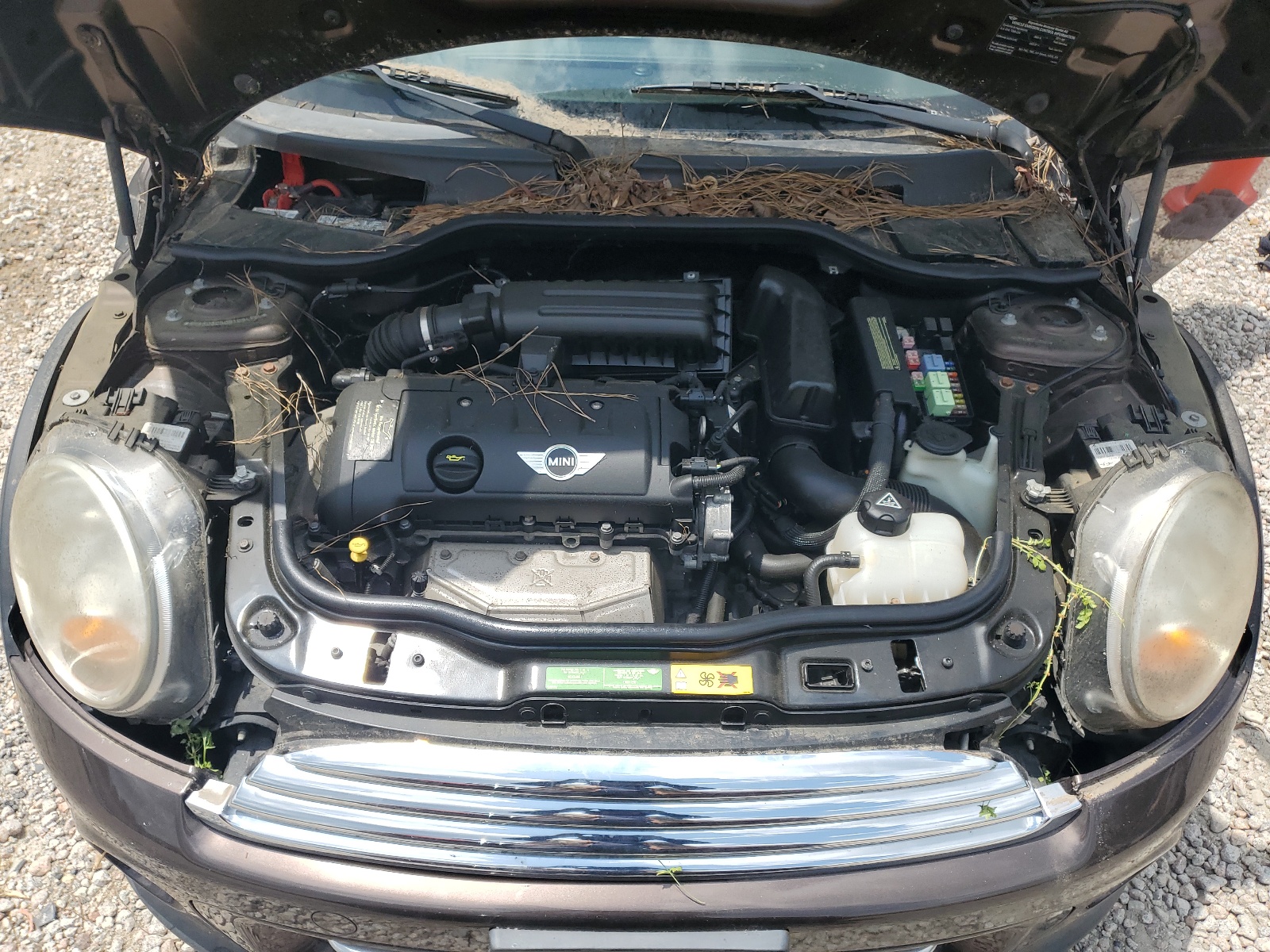 WMWSU3C50BT094384 2011 Mini Cooper