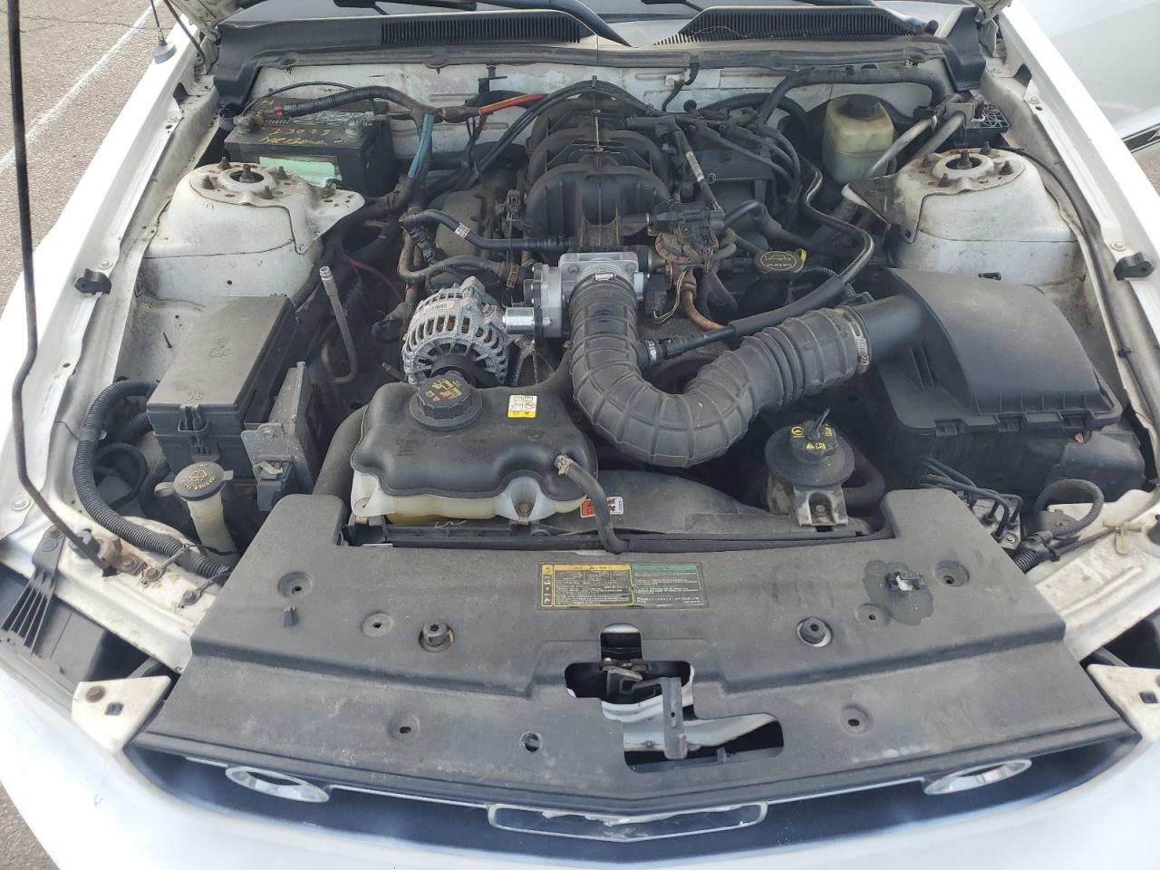 2006 Ford Mustang VIN: 1ZVFT80N965168501 Lot: 64267734