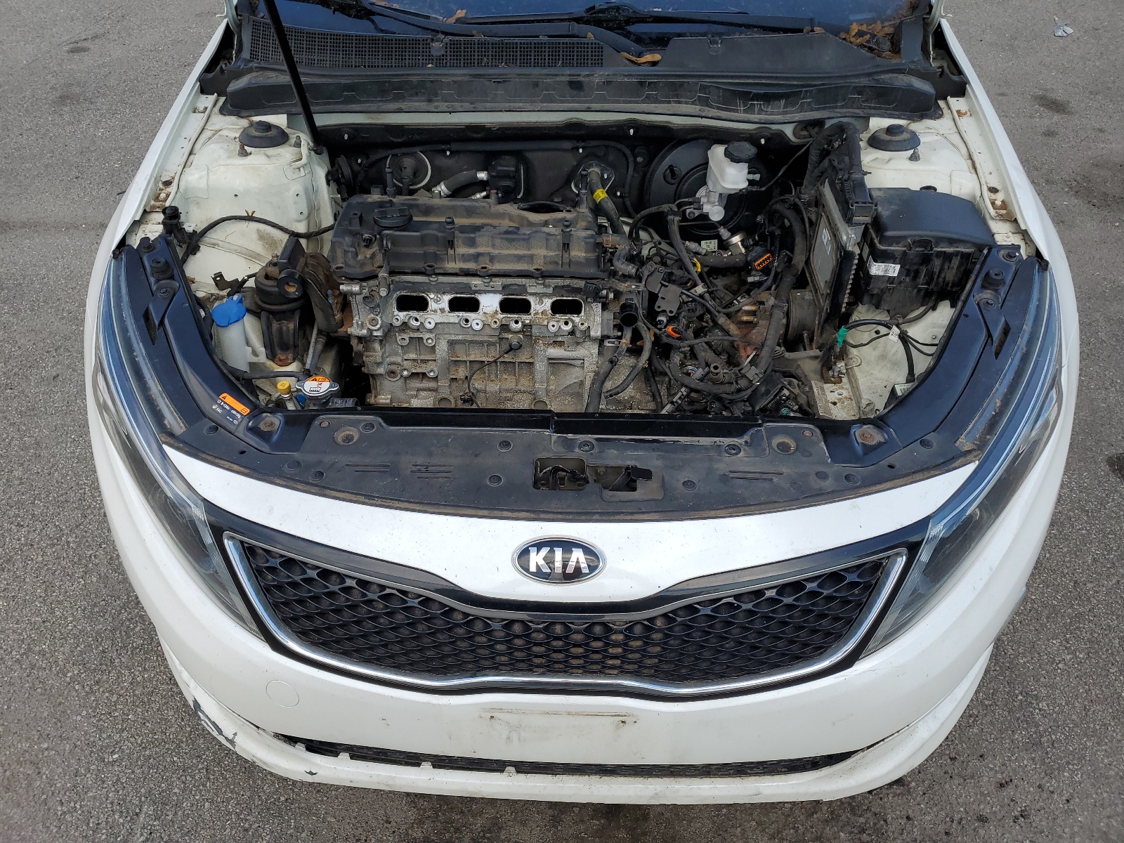 2015 Kia Optima Lx vin: KNAGM4A74F5592775