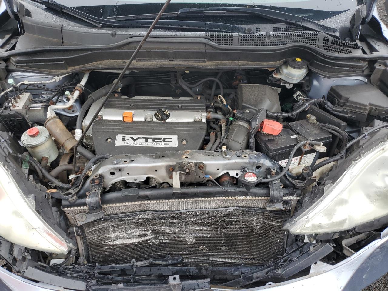 2007 Honda Cr-V Lx VIN: 5J6RE48327L014256 Lot: 64696384