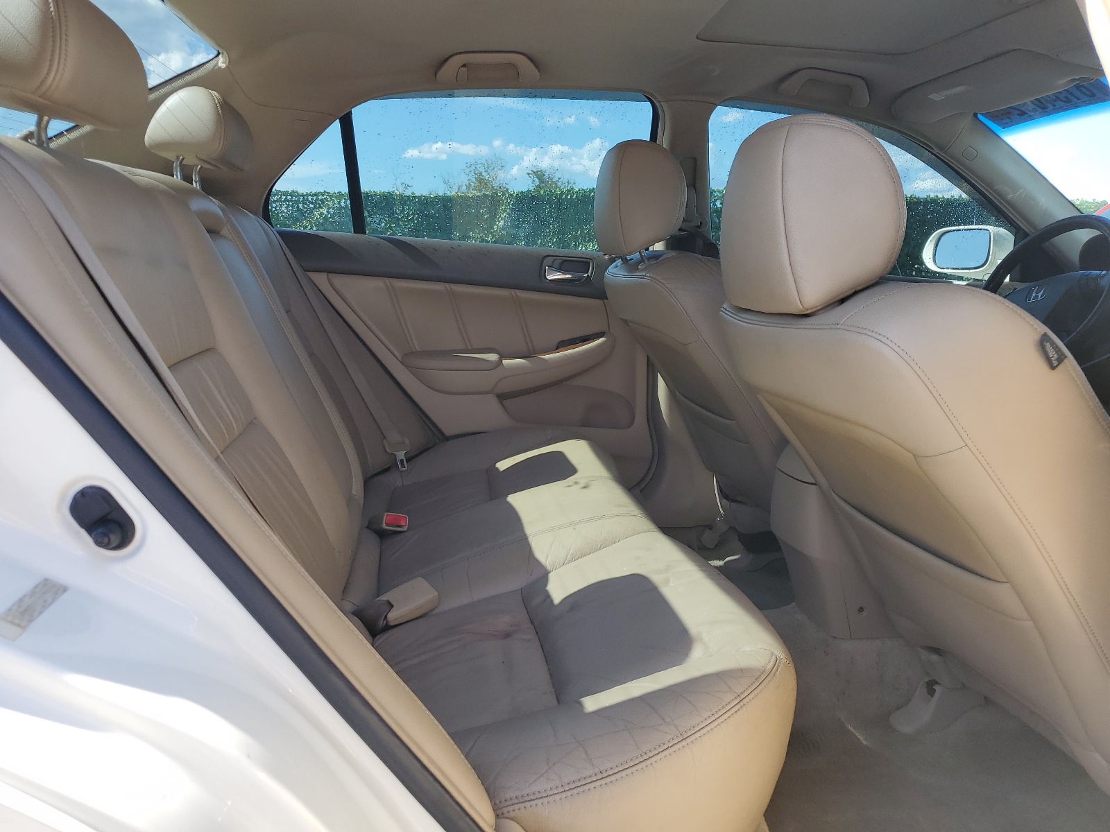 JHMCN36576C002224 2006 Honda Accord Hybrid