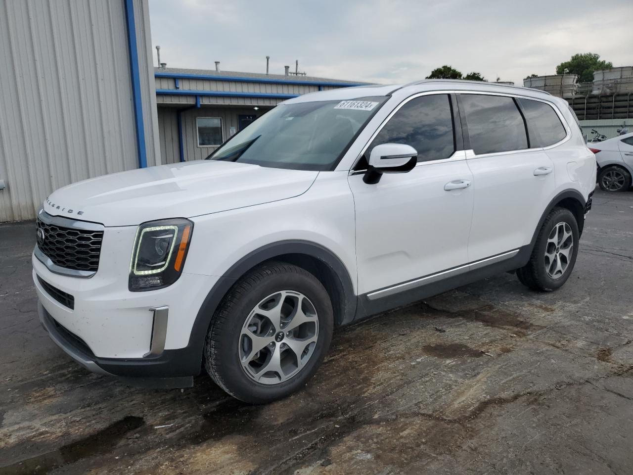 2021 Kia Telluride Ex VIN: 5XYP34HC1MG151182 Lot: 61161324