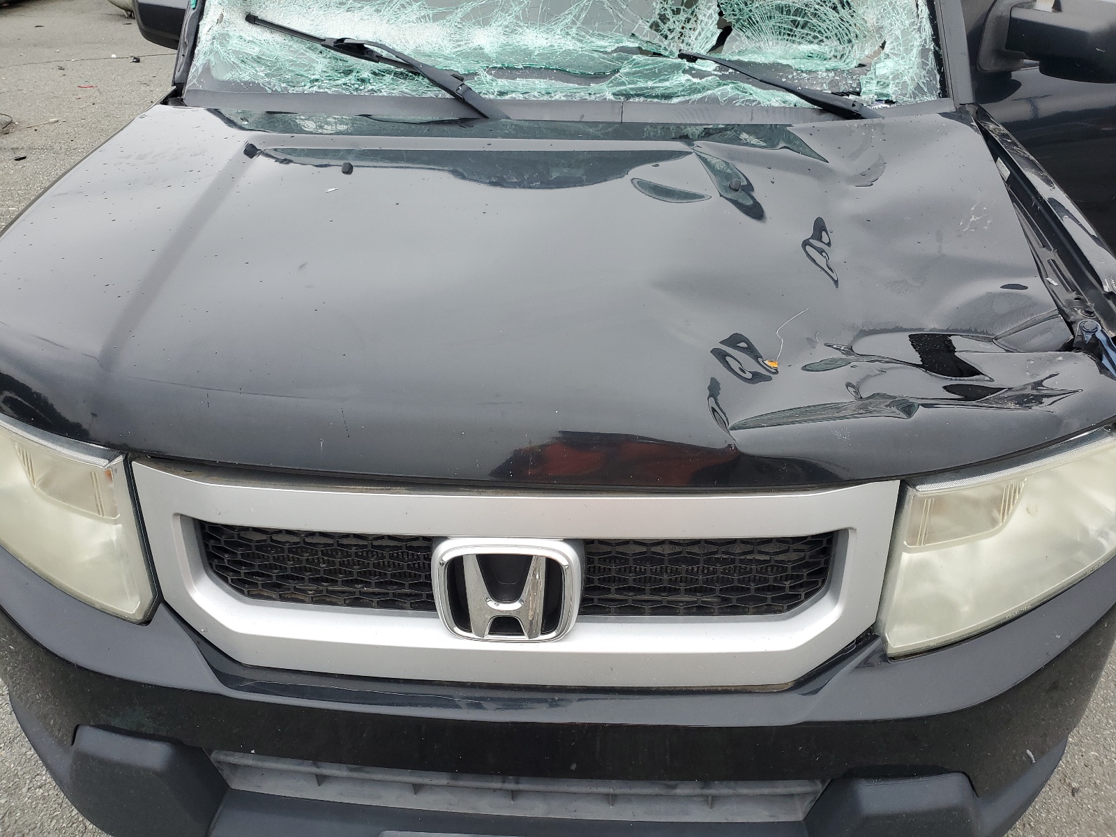 5J6YH2H32BL000678 2011 Honda Element Lx