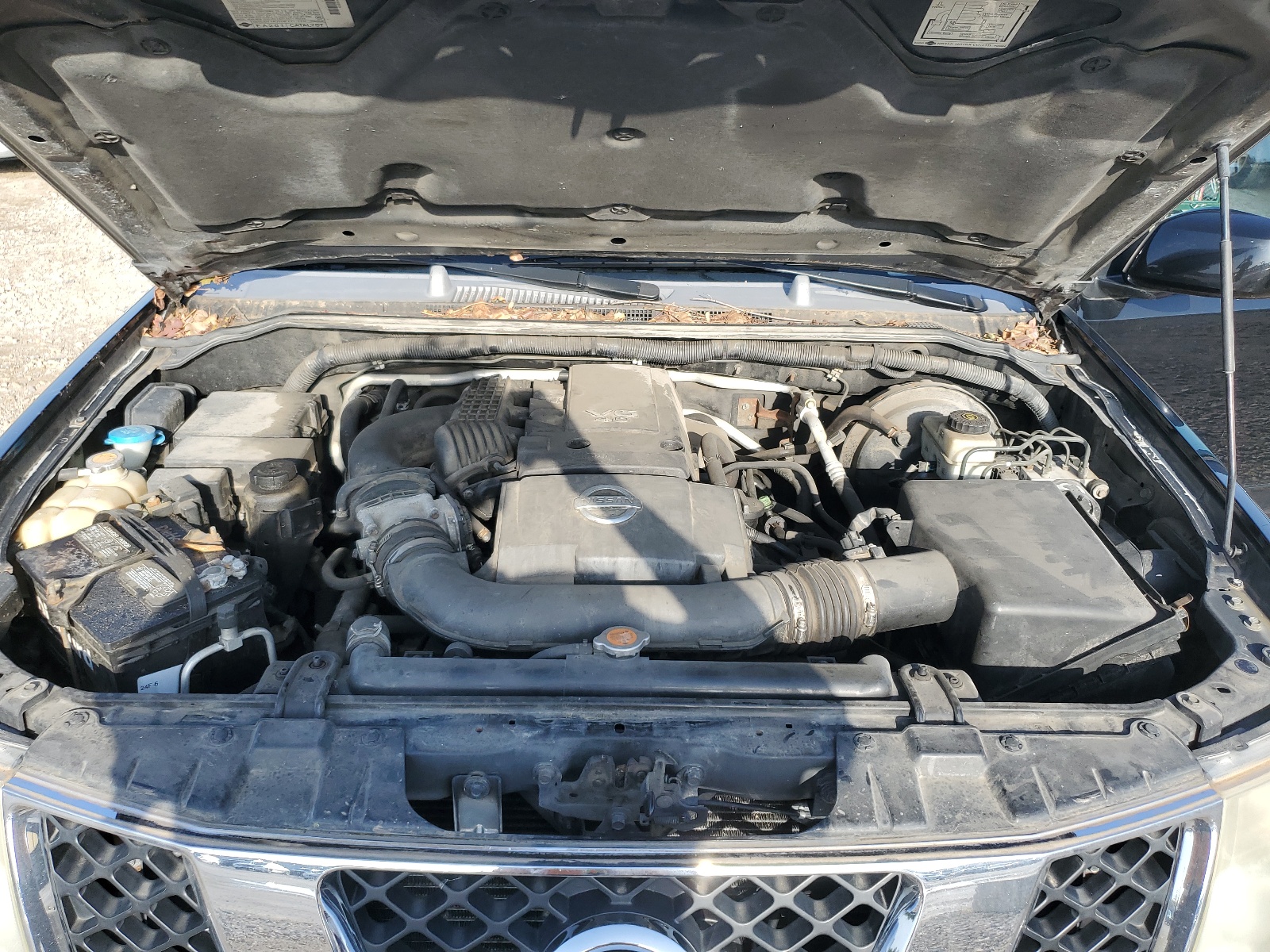 5N1AR18W95C761720 2005 Nissan Pathfinder Le