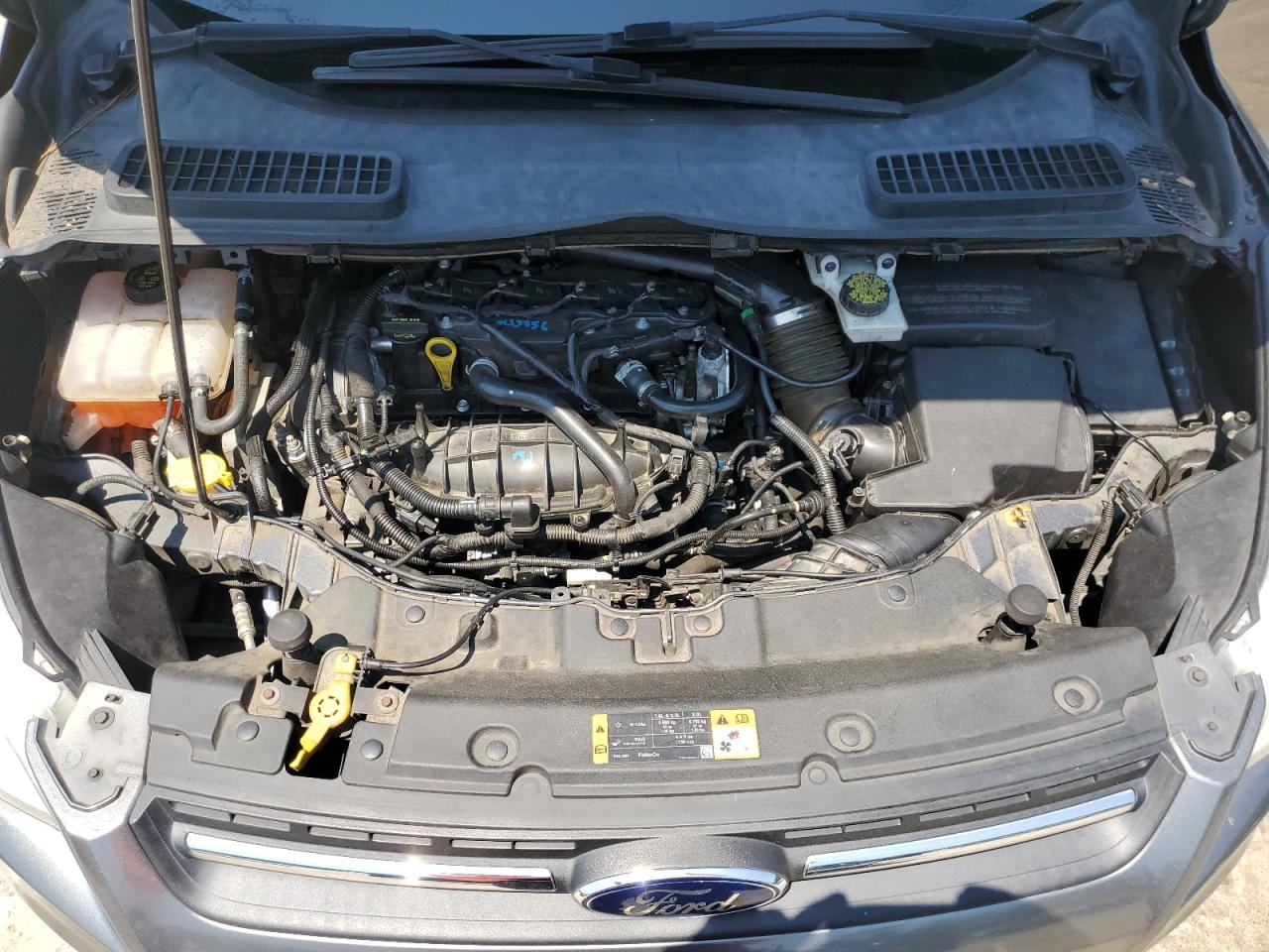 2014 Ford Escape Se VIN: 1FMCU0GX8EUC82131 Lot: 62920814