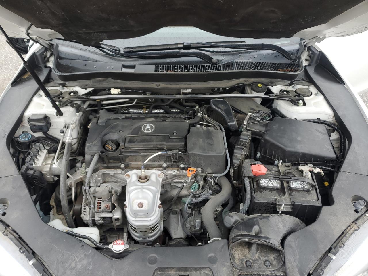 19UUB1F33LA005678 2020 Acura Tlx