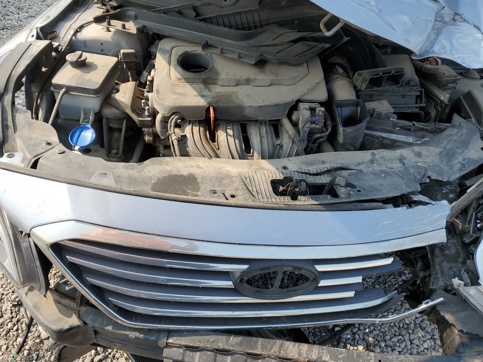 5NPE24AF4GH376465 2016 Hyundai Sonata Se