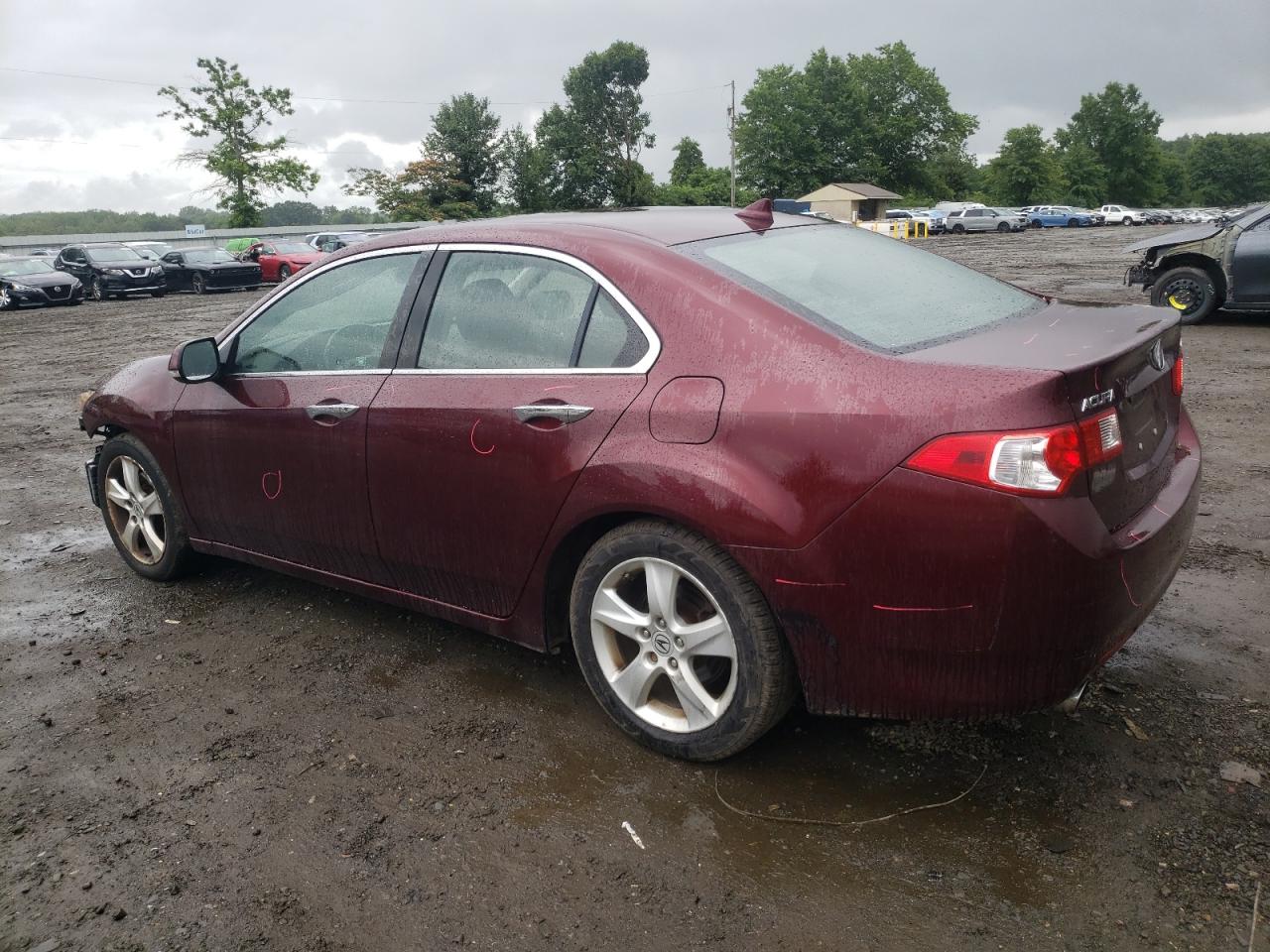 2010 Acura Tsx VIN: JH4CU2F62AC043312 Lot: 63072984
