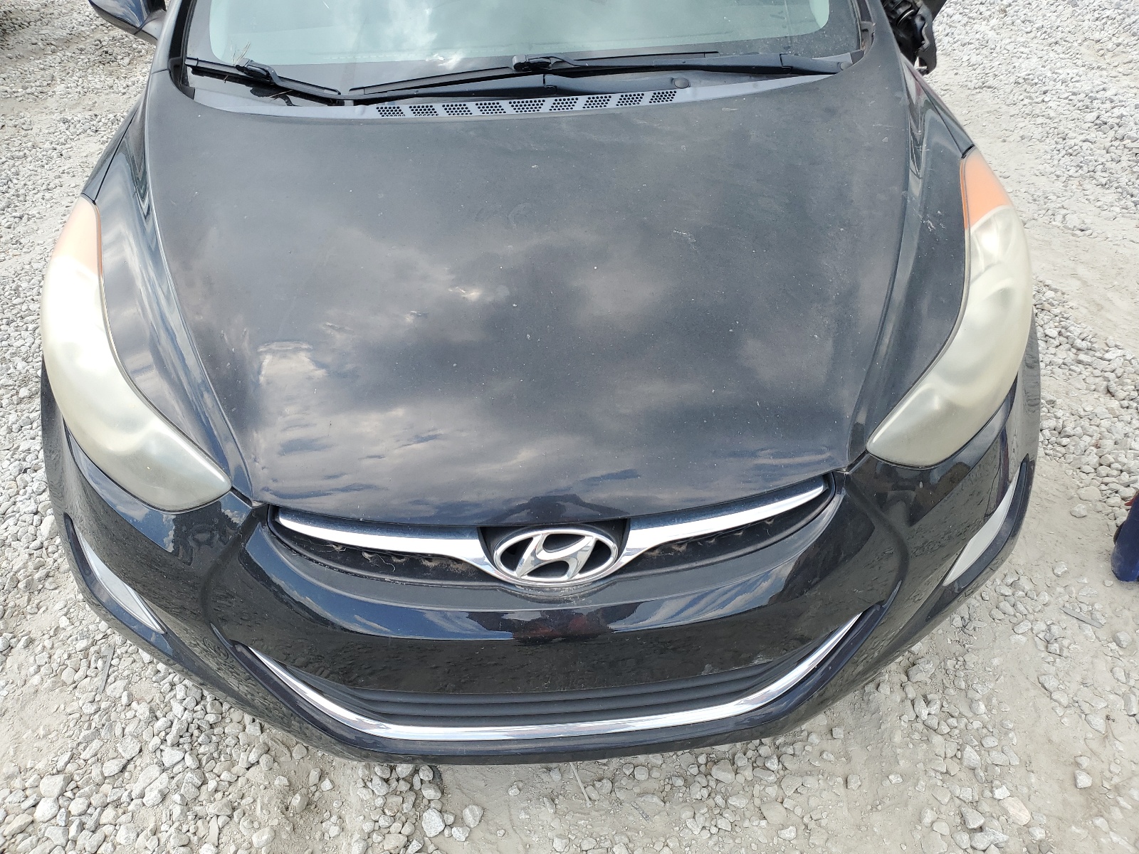 KMHDH4AE9DU556667 2013 Hyundai Elantra Gls