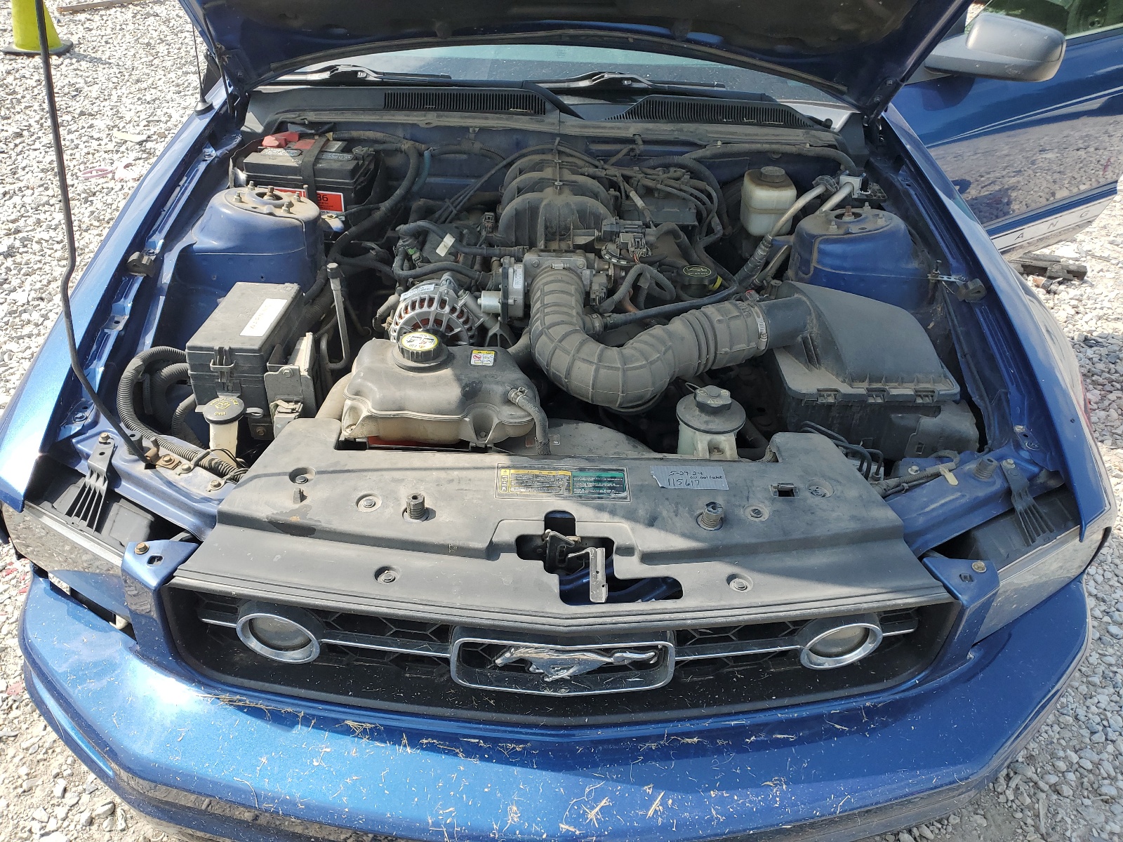 1ZVFT80N075250568 2007 Ford Mustang