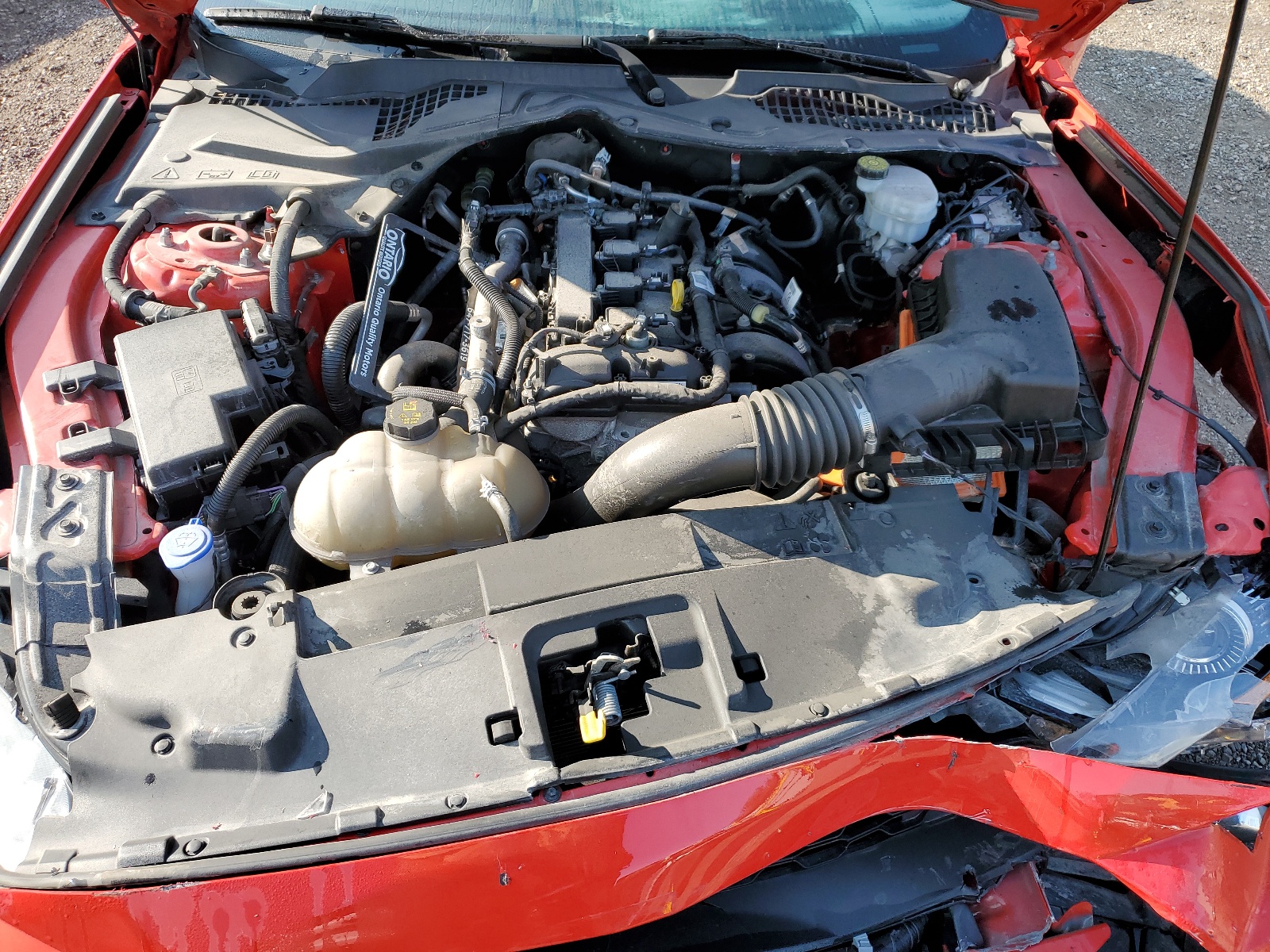 1FA6P8TH4M5100204 2021 Ford Mustang