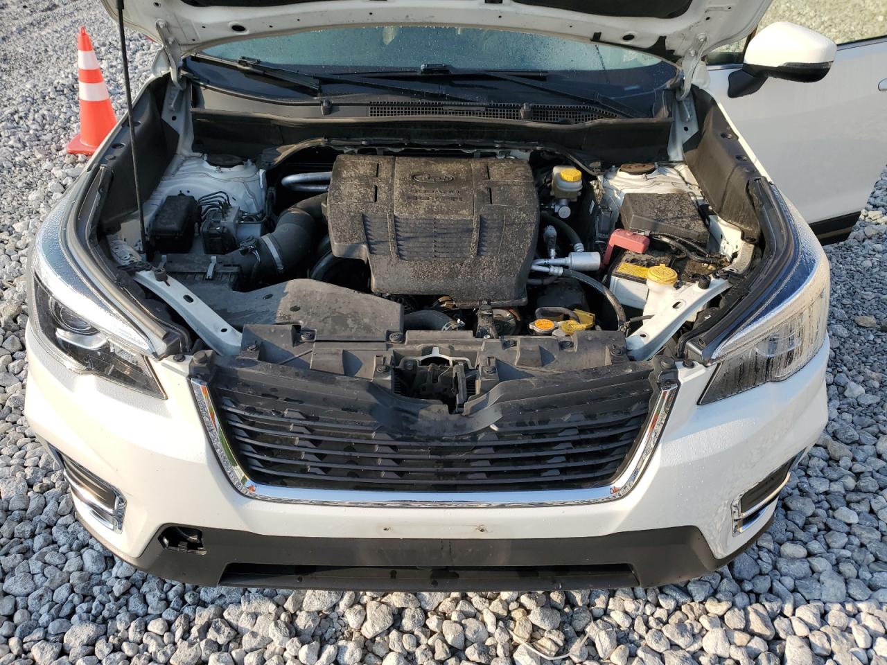 2019 Subaru Forester Limited VIN: JF2SKAUC5KH404964 Lot: 64144414