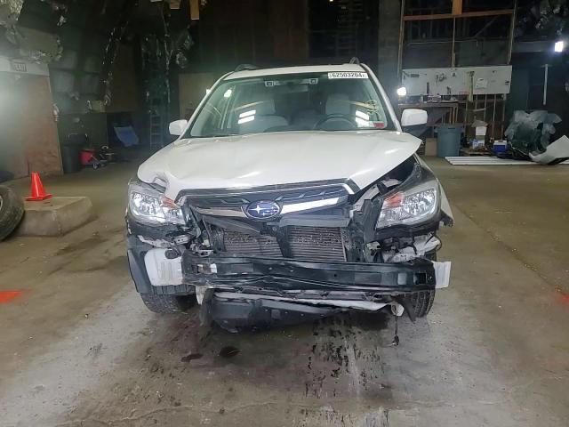 2017 Subaru Forester 2.5I Premium VIN: JF2SJAGC1HH500677 Lot: 62503204