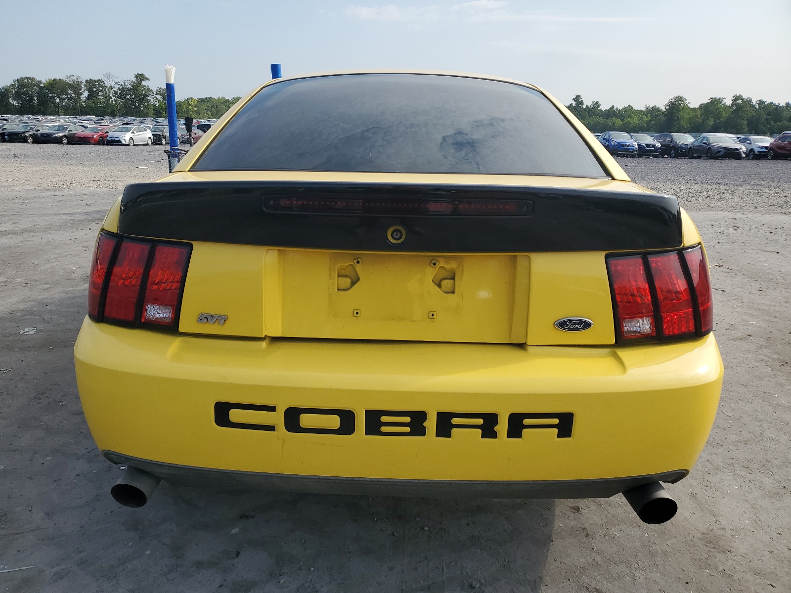 1FAFP48Y53F386509 2003 Ford Mustang Cobra Svt