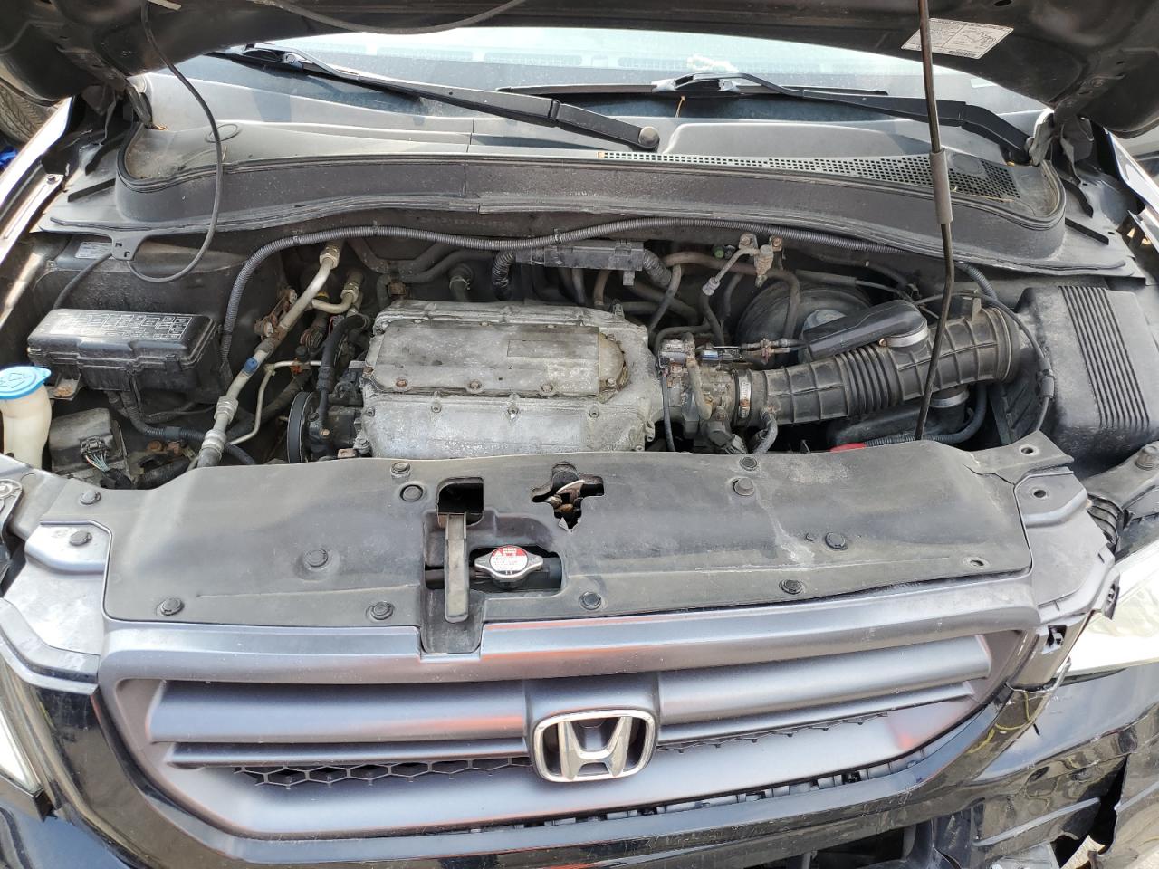 2004 Honda Pilot Exl VIN: 2HKYF18684H538065 Lot: 64145144