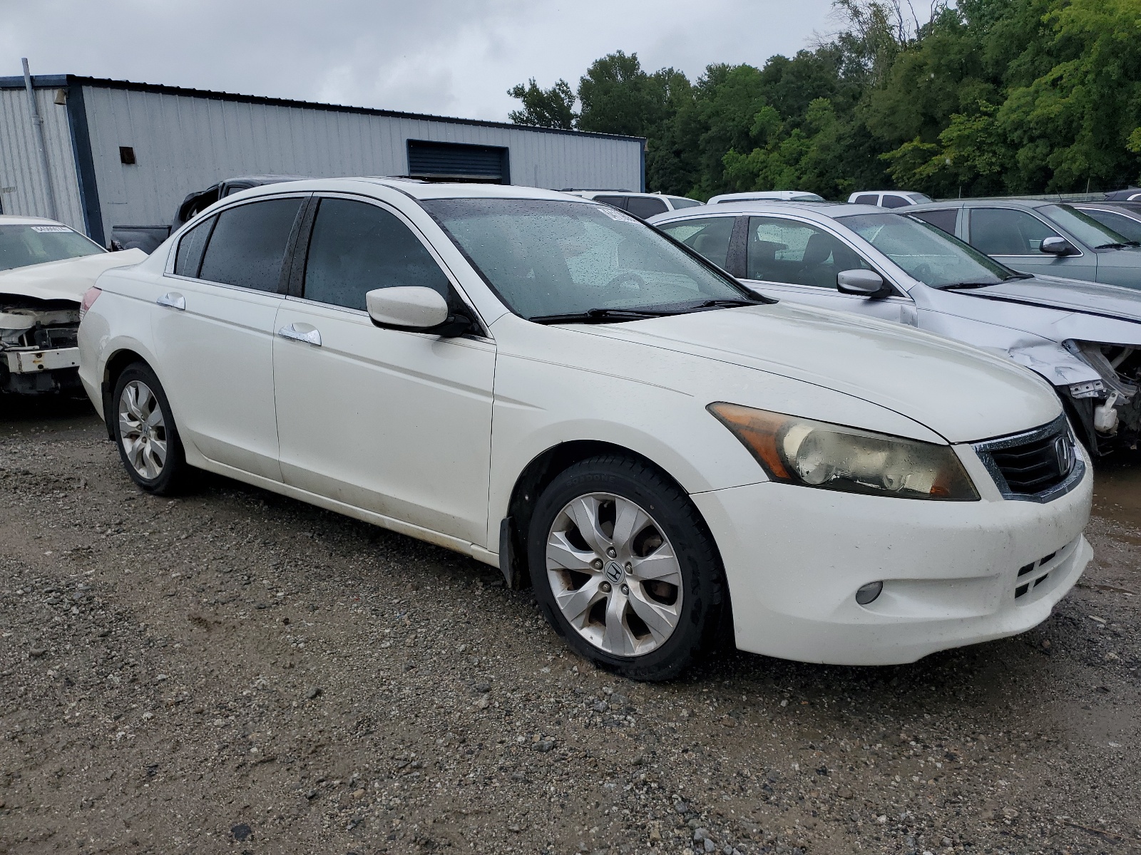 1HGCP36828A070002 2008 Honda Accord Exl