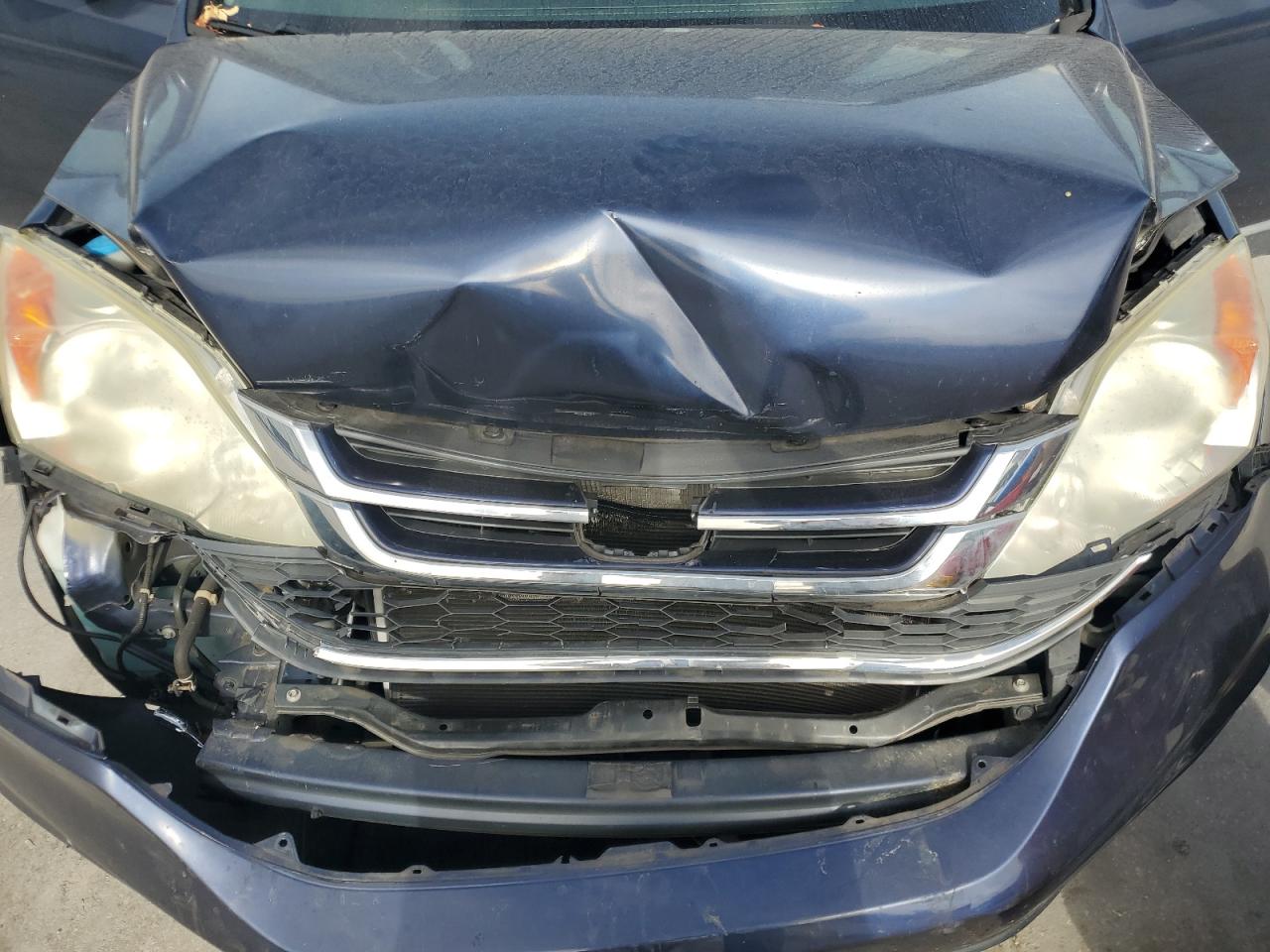 2010 Honda Cr-V Exl VIN: 5J6RE3H76AL004625 Lot: 64094014