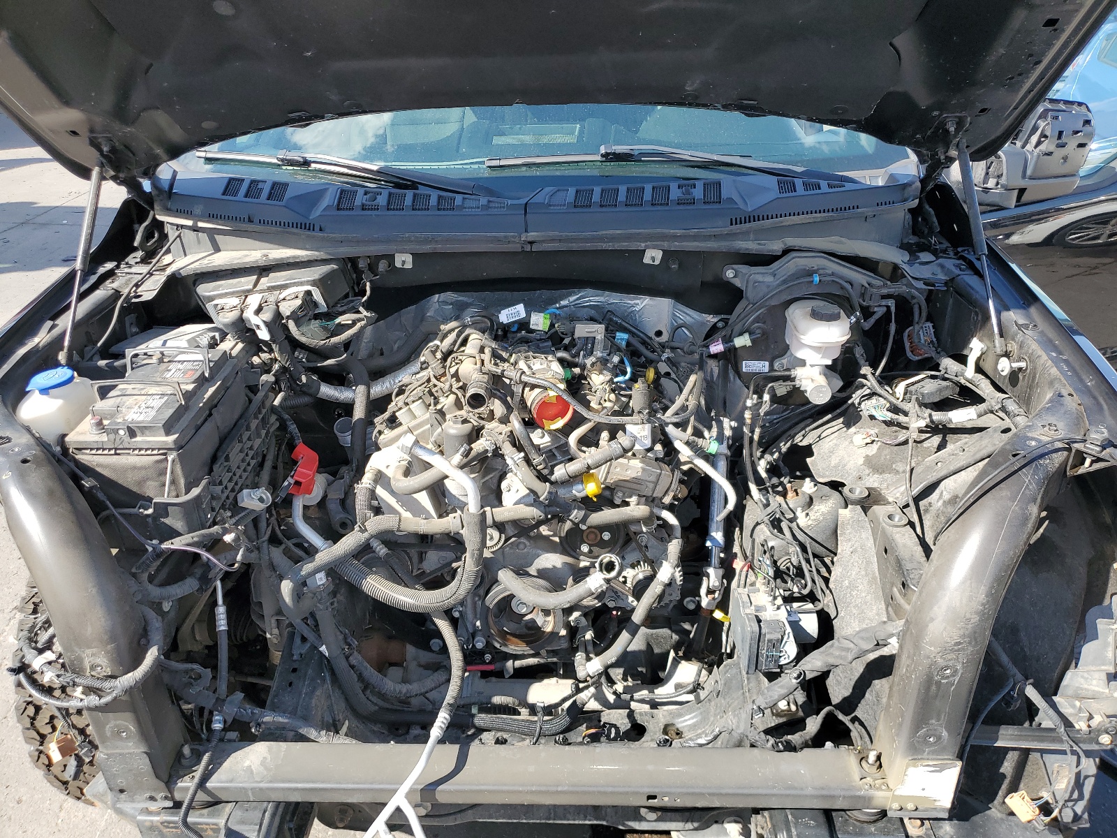 1FTEW1EP2KFB89640 2019 Ford F150 Supercrew