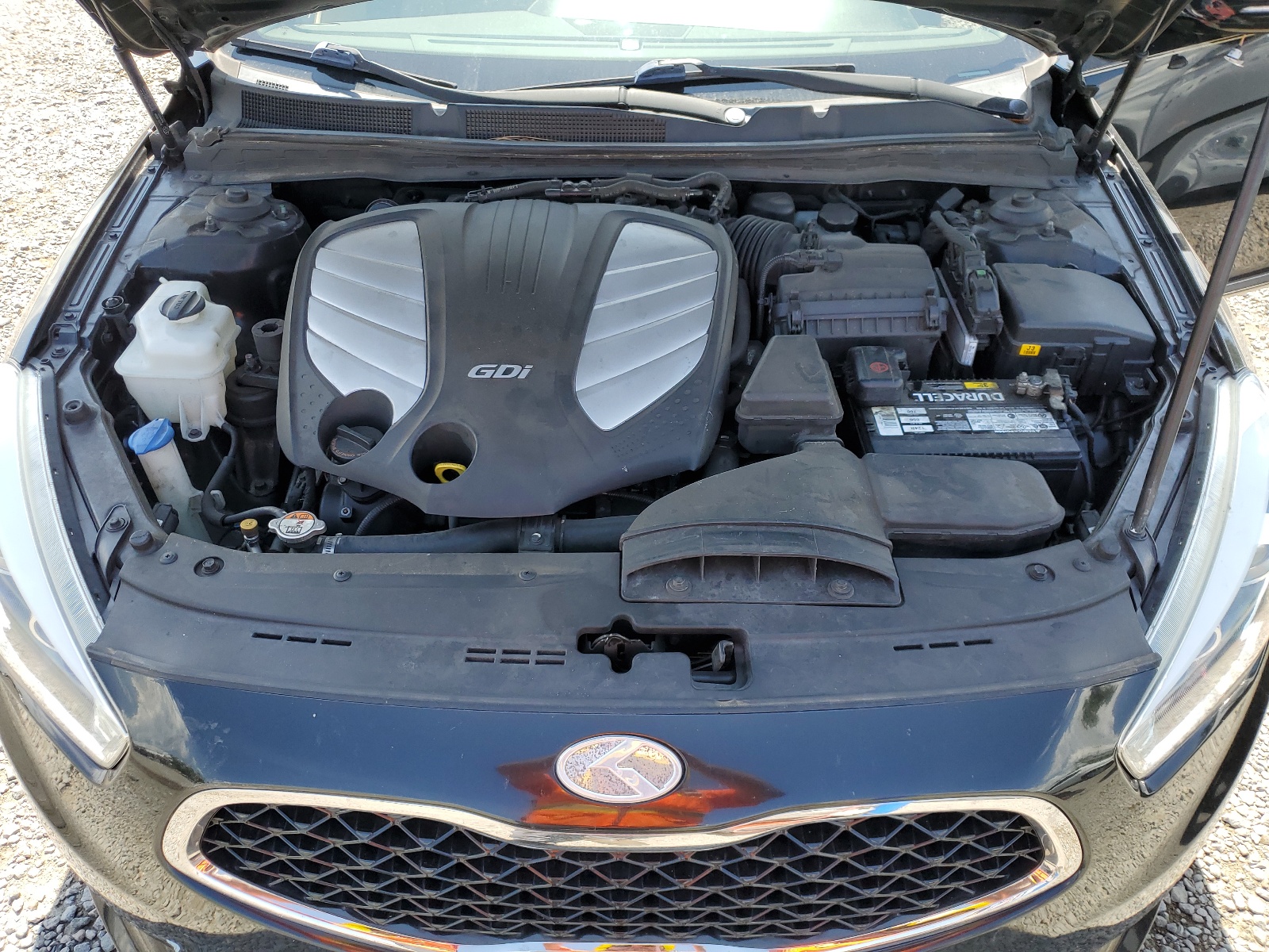 KNALN4D70E5134849 2014 Kia Cadenza Premium