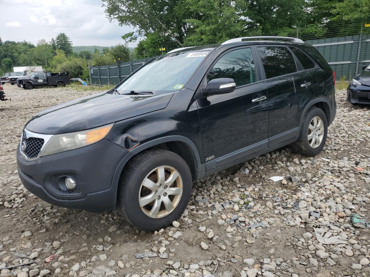 2011 Kia Sorento Base VIN: 5XYKTCA15BG114775 Lot: 64888454