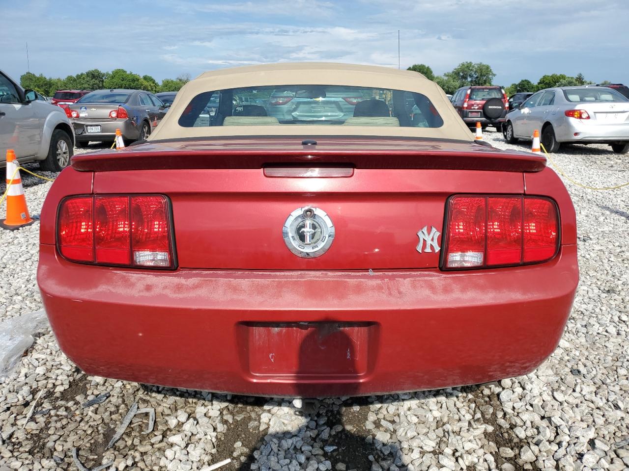 2008 Ford Mustang VIN: 1ZVHT84N985195235 Lot: 65780884