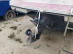 1988 Wellcraft Elite for Sale in Seaford, DE - Minor Dent/Scratches