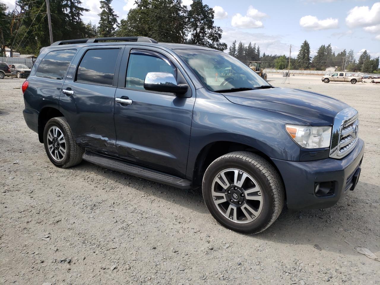 2010 Toyota Sequoia Platinum VIN: 5TDDY5G15AS025982 Lot: 64889644