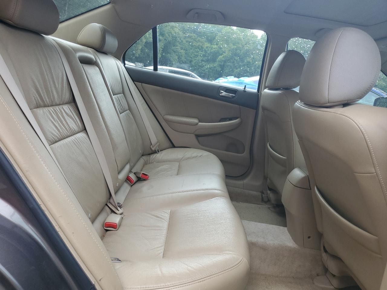 2006 Honda Accord Ex VIN: 1HGCM66596A067529 Lot: 63455664