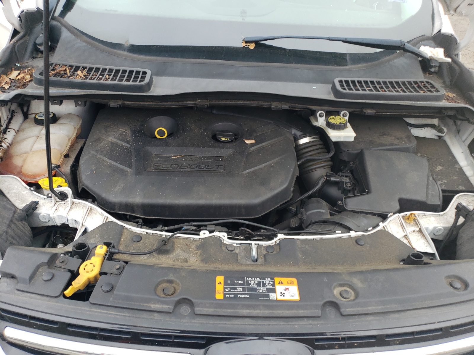 1FMCU9H93DUC75901 2013 Ford Escape Sel