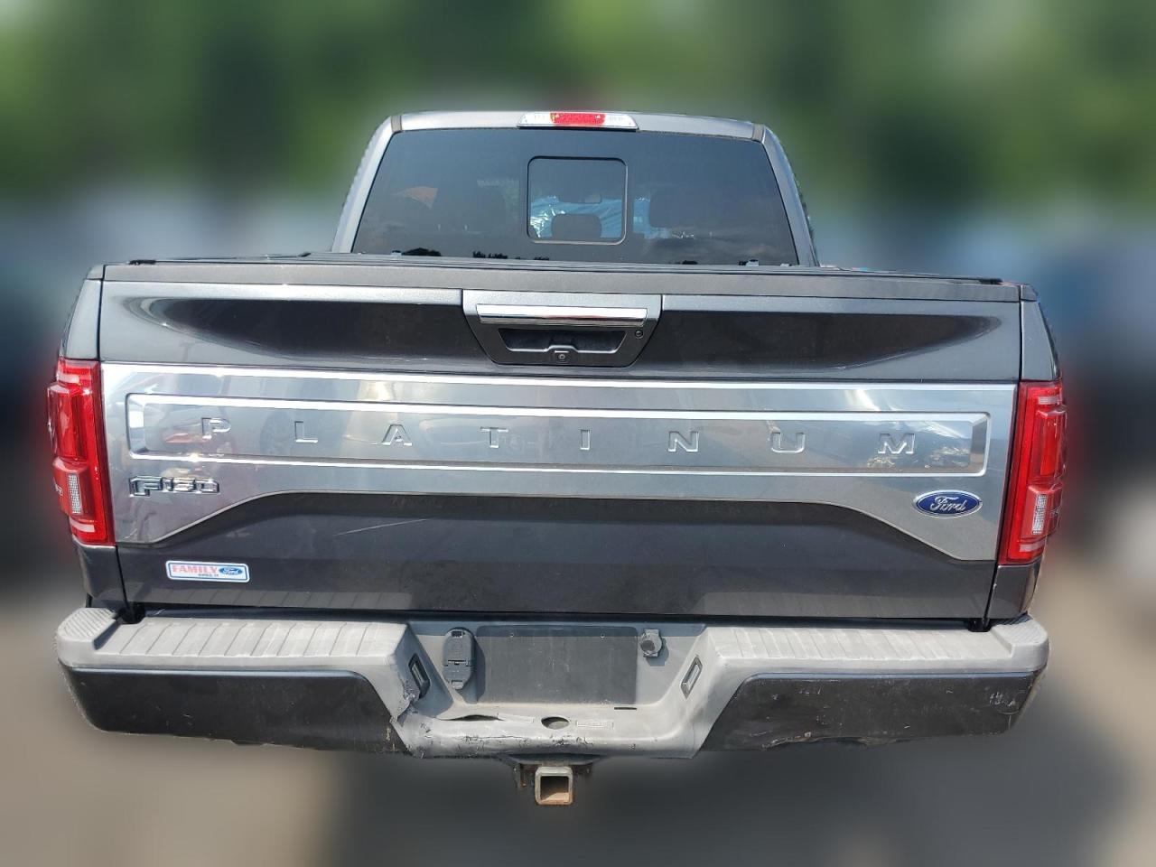 2016 Ford F150 Supercrew VIN: 1FTEW1EG4GFA94424 Lot: 64195164