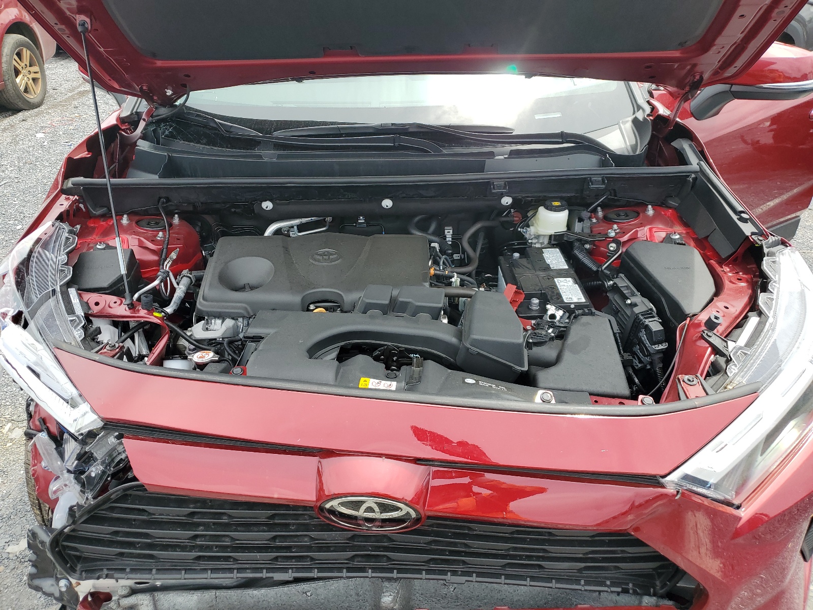 2T3P1RFV1RW436433 2024 Toyota Rav4 Xle