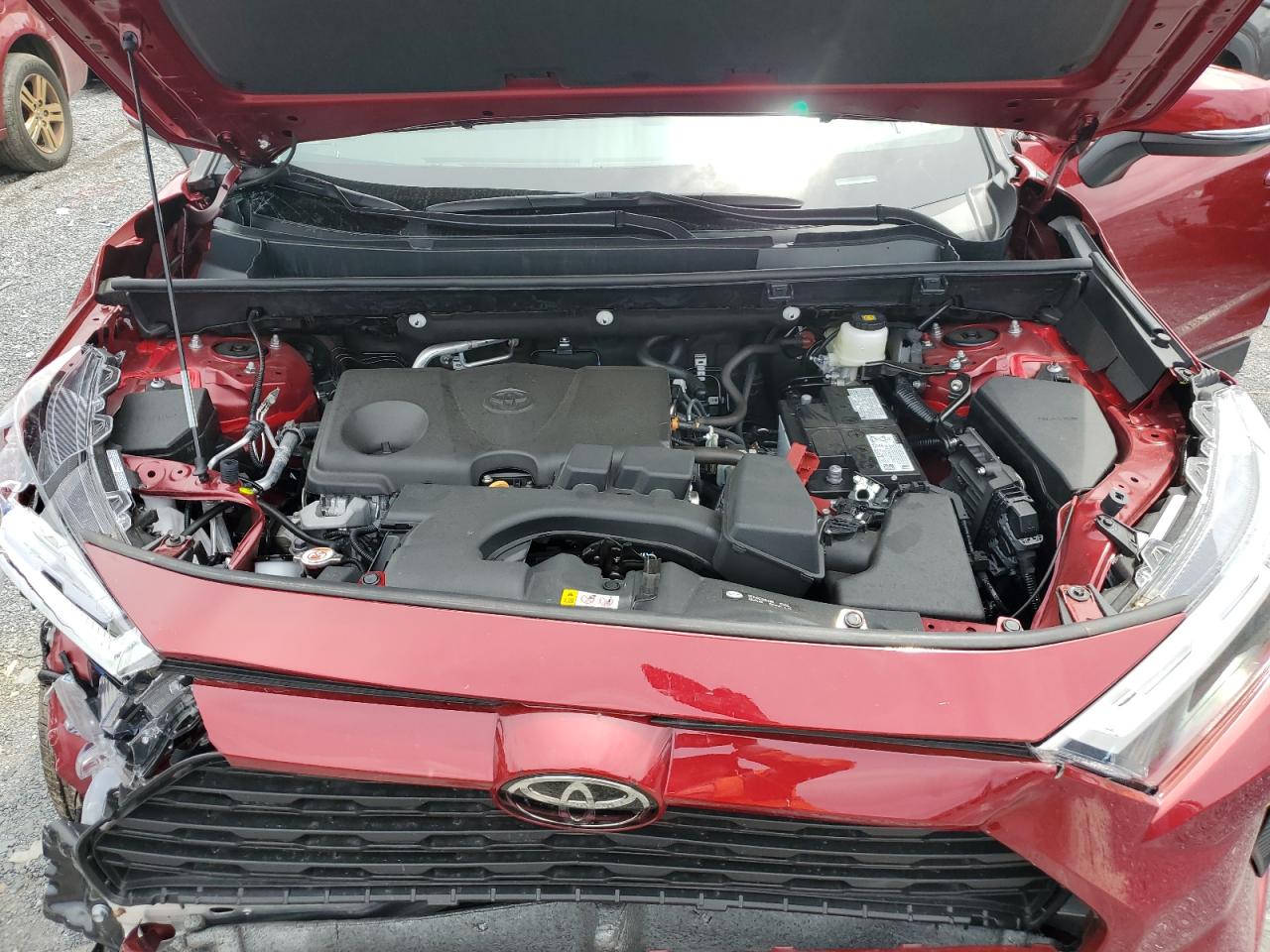 2024 Toyota Rav4 Xle VIN: 2T3P1RFV1RW436433 Lot: 64163974