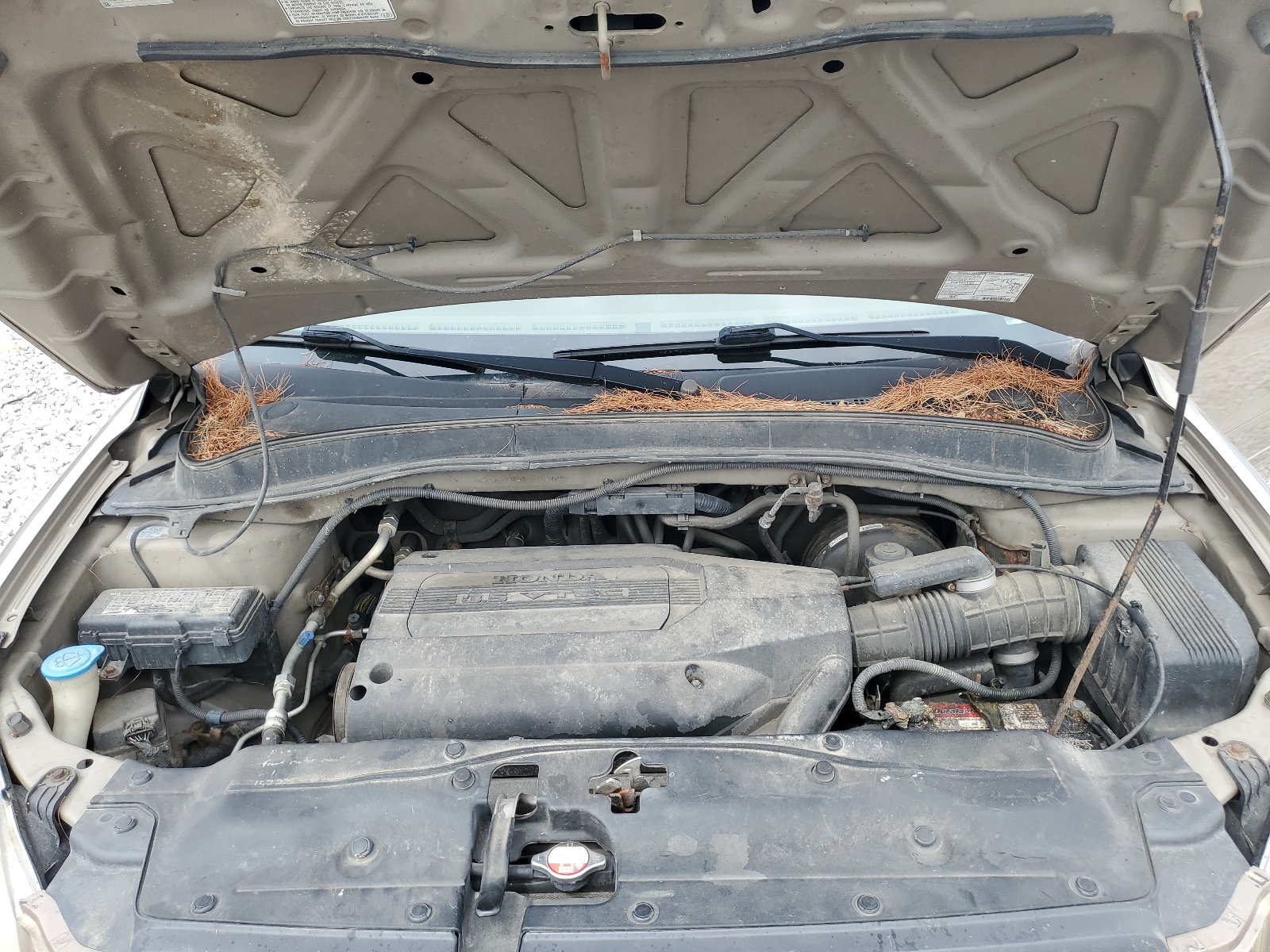 2HKYF18654H599728 2004 Honda Pilot Exl 2HKYF18654H599728 2004 Honda Pilot Exl
