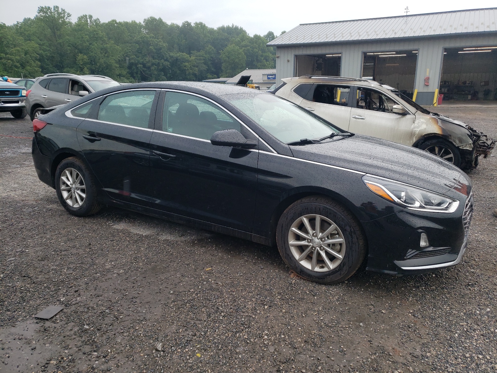 5NPE24AFXKH794229 2019 Hyundai Sonata Se