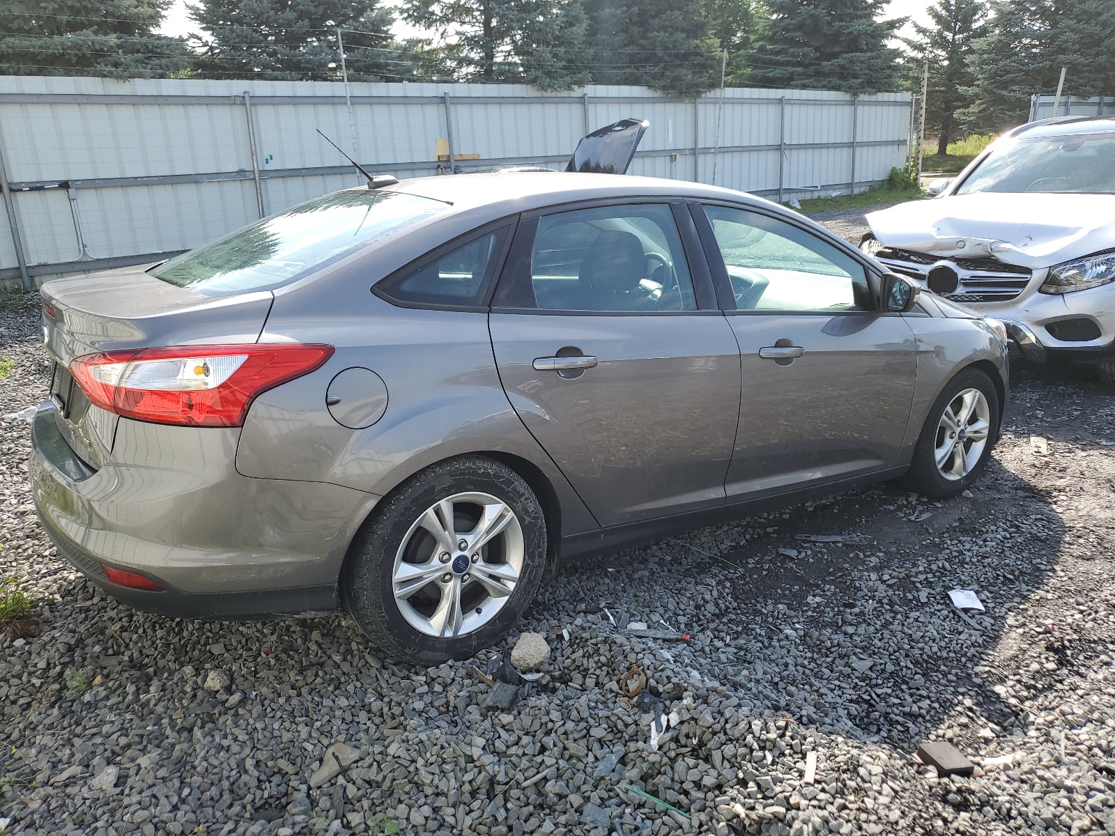 2014 Ford Focus Se vin: 1FADP3F24EL188170