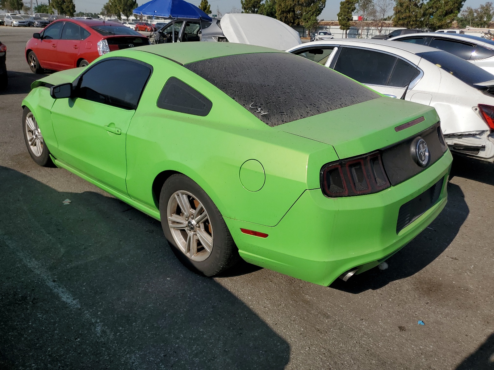 2014 Ford Mustang vin: 1ZVBP8AMXE5205174