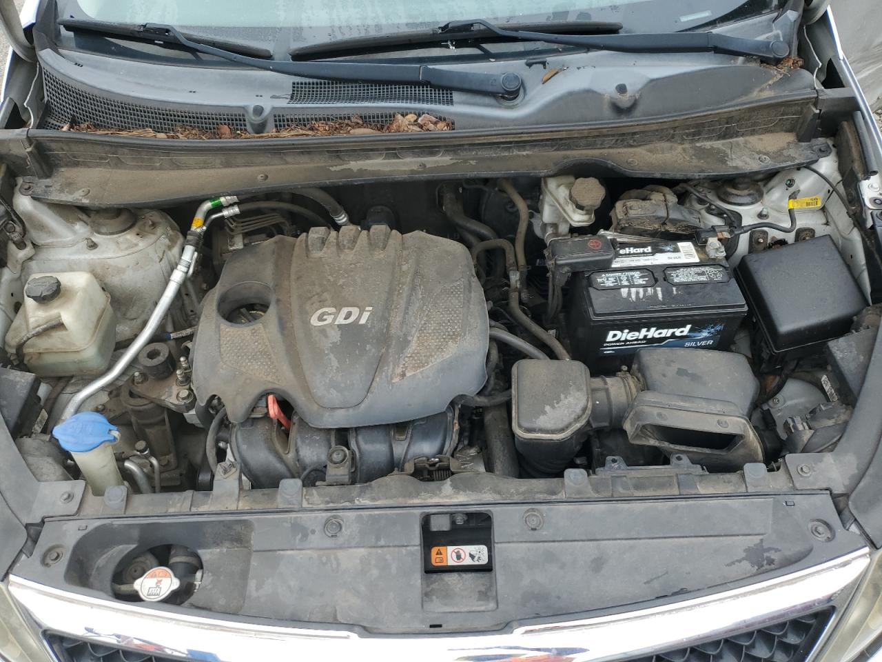 2014 Kia Sportage Base VIN: KNDPB3AC8E7656559 Lot: 64287924