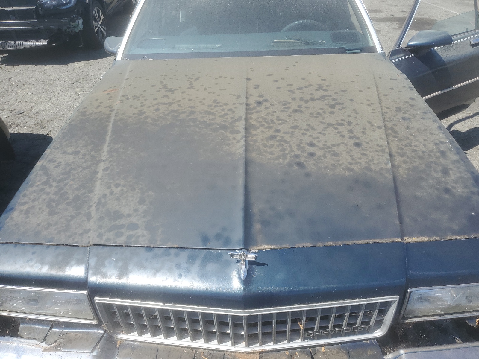 1G1BL51E0KR150236 1989 Chevrolet Caprice