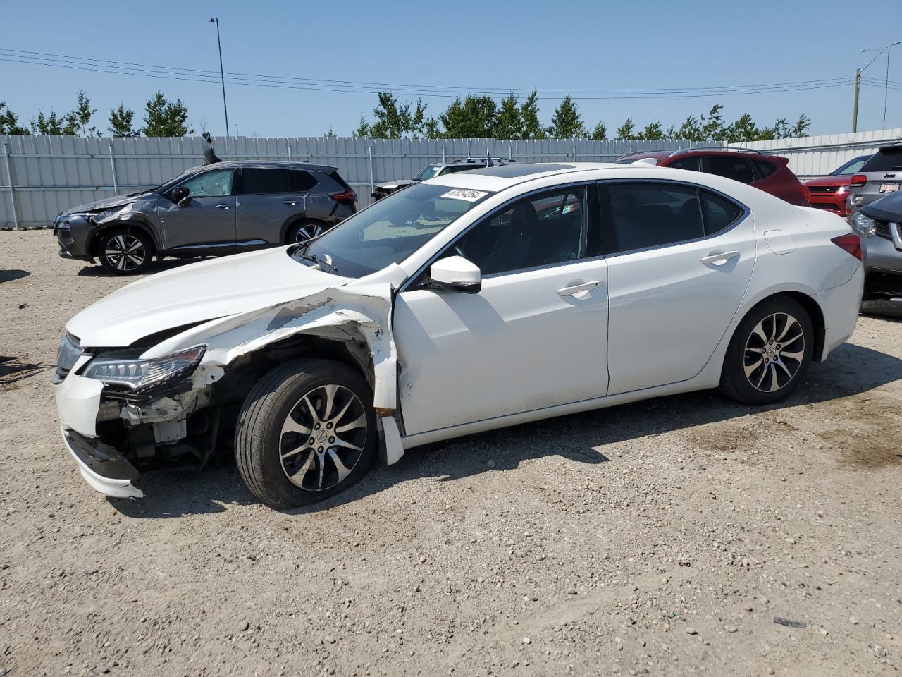 2015 Acura Tlx Tech VIN: 19UUB1F57FA801095 Lot: 62054264