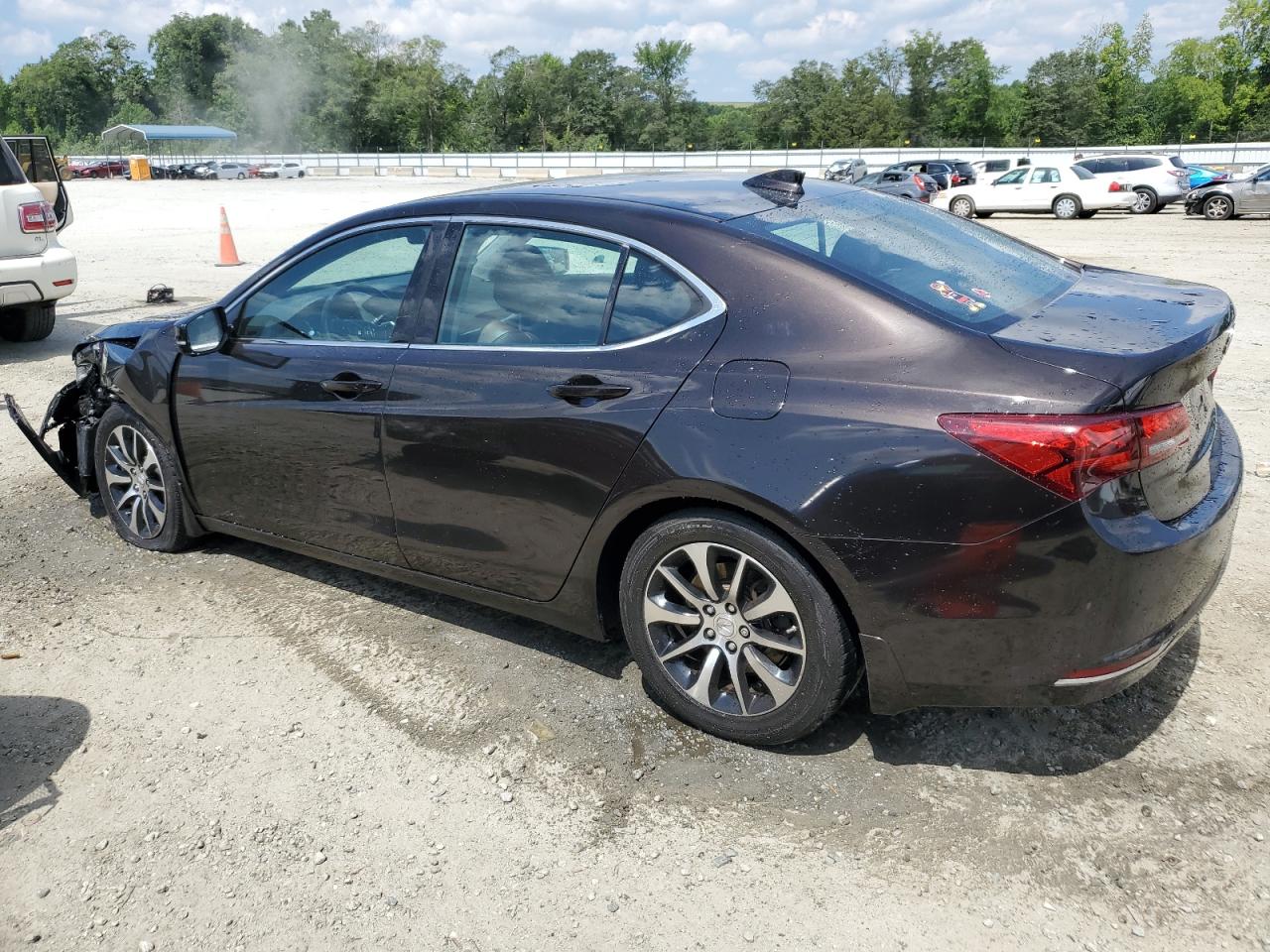 2015 Acura Tlx Tech VIN: 19UUB1F50FA013114 Lot: 61621414