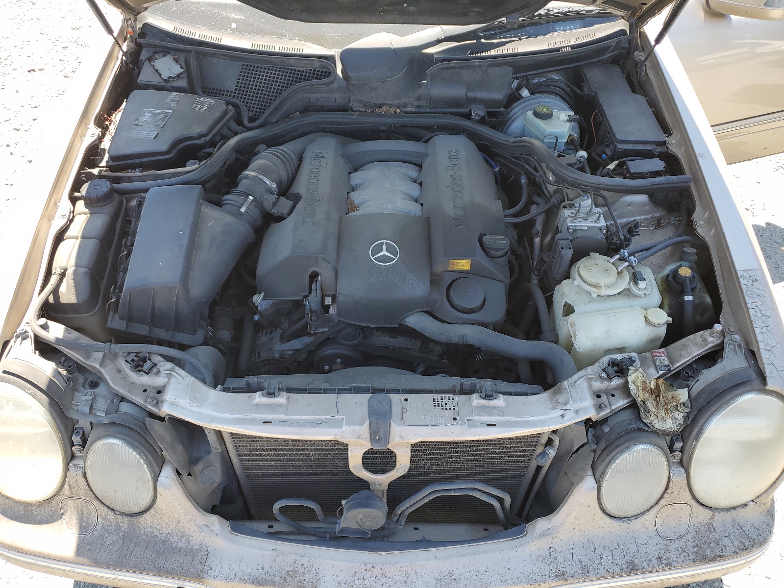 WDBJH82J9YX030097 2000 Mercedes-Benz E 320 4Matic